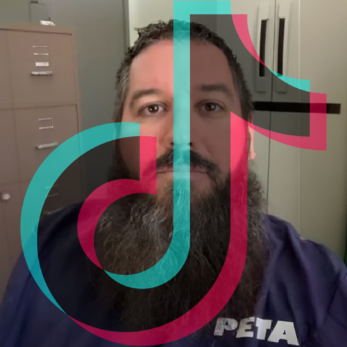 RobbVerbs on TikTok